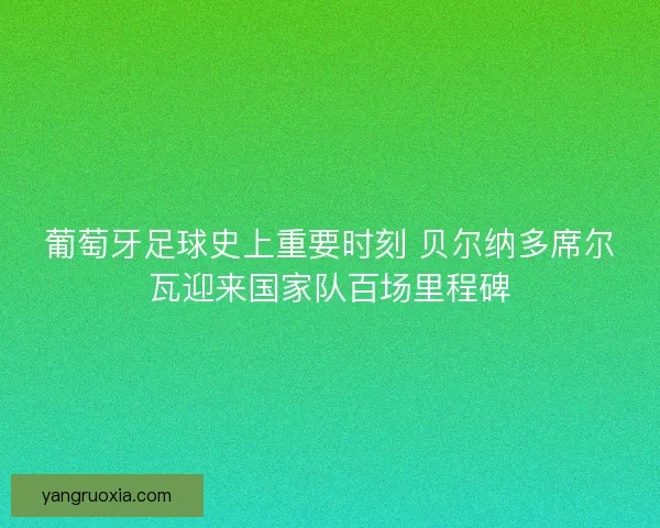 葡萄牙足球史上重要时刻 贝尔纳多席尔瓦迎来国家队百场里程碑