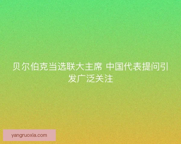 贝尔伯克当选联大主席 中国代表提问引发广泛关注